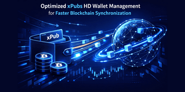 Optimized xPubs HD Wallet Management for Faster Blockchain Synchronization