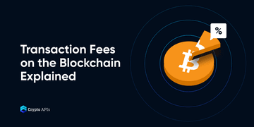Transaction Fees on the Blockchain Explained
